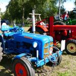 Albert-van-der-Linde-95