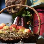 Harry_van_t_Veld-23