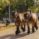 Patricia_Rave_Fotografie-3
