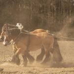 Patricia_Rave_Fotografie-9